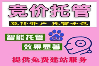 百度竞价赚钱技巧：案例分析